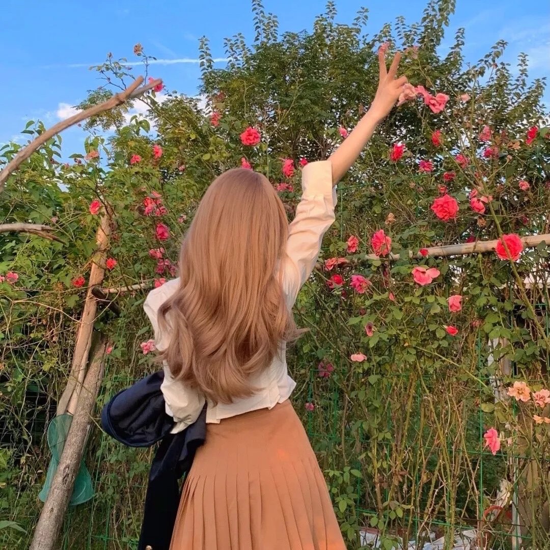 《飞马俏姑娘》封面